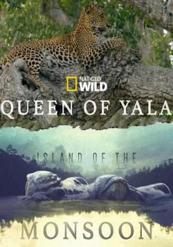  .   / NAT GEO WILD. Island of the Monsoon VO