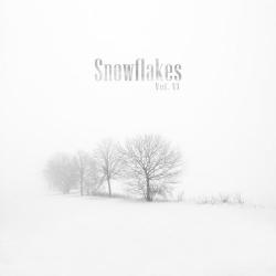 VA - Snowflakes VI