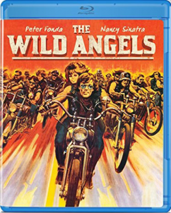   / The Wild Angels MVO