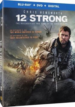  / 12 Strong DUB